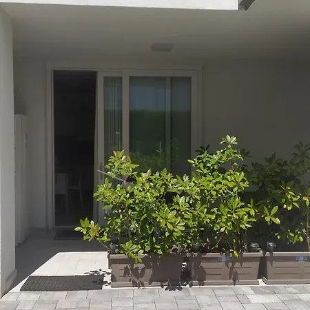 F2 - Black And White